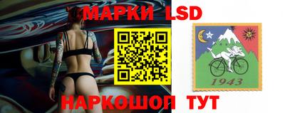 СК Пугачёв