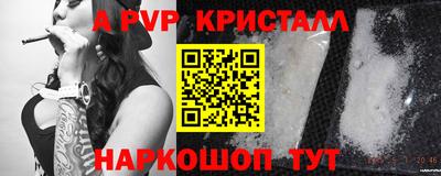 СК Пугачёв